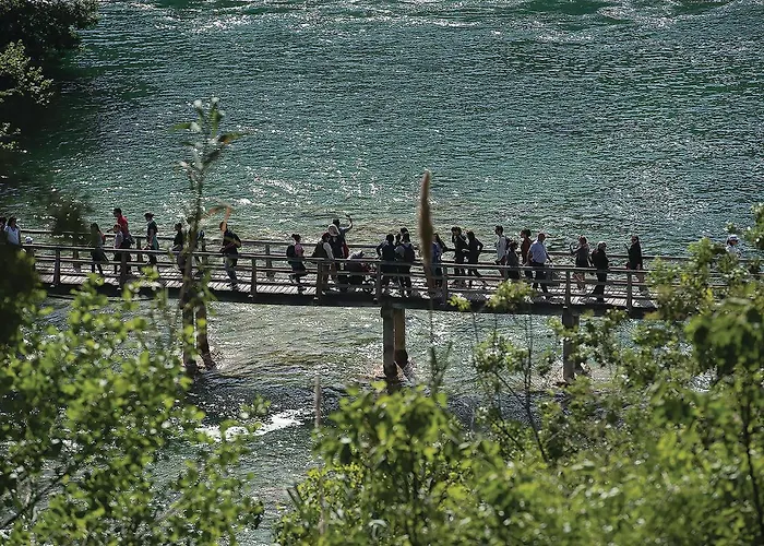 Stunning In Apartment